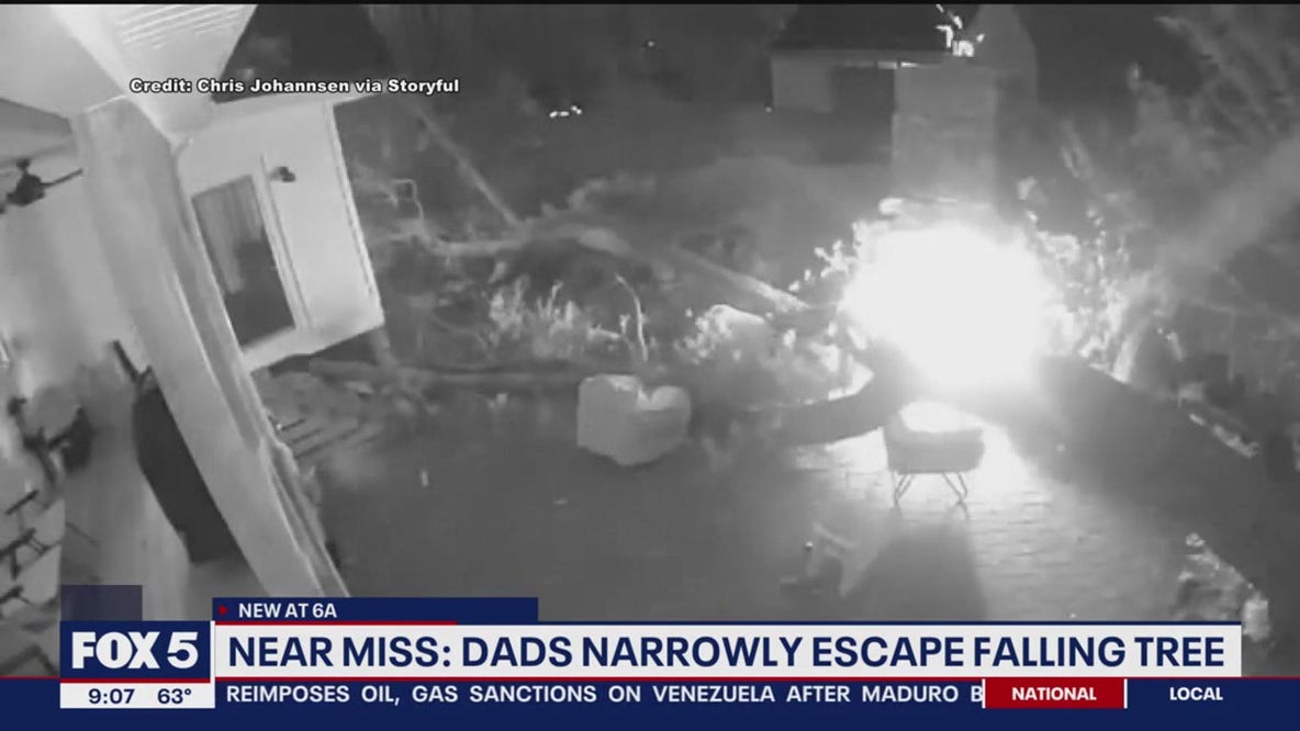 We Almost Died!’ Video shows Virginia men narrowly escape tree as it crashes into backyard